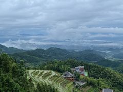 -紫鹊界梯田景区