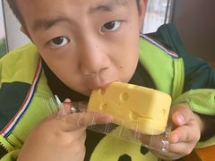 -幸福鸟动物奶油生日蛋糕(军校店)