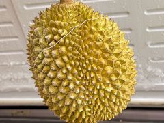 -开皇马来西亚榴莲美食店(华强北店)