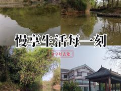 -会仙湿地