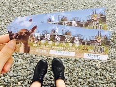 -鹿境梅花鹿生态园区