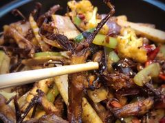 -靓蛙馆