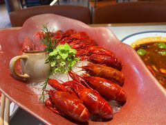 -杨氏青龙虾·羊蝎子(珠江路店)