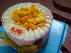 -维尔纳斯·生日蛋糕·动物奶油冰淇淋蛋糕(六里桥店)