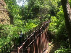 -天女山森林公园