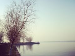 -漕湖湿地公园