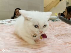 -金茂览秀城