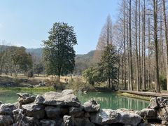 -杭州植物园