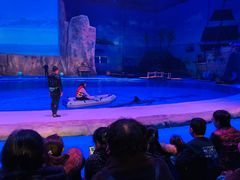 -华夏文旅海洋公园