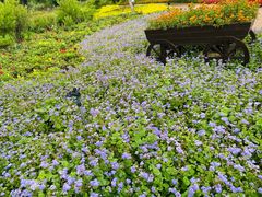 -黑龙江省森林植物园