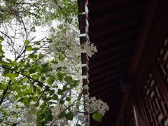 -北京鲁迅博物馆(北京新文化运动纪念馆鲁博馆区)