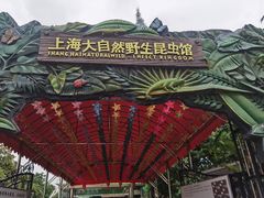 -上海大自然野生昆虫馆(东方明珠·爬宠昆虫探索中心)
