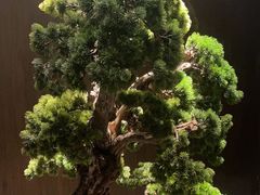 -喜湘宴·精致湖南菜(和平西桥店)