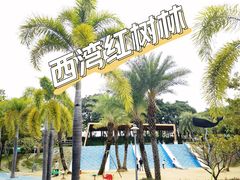 -宝安西湾红树林湿地公园