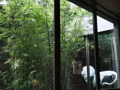-成都观隐颐云台酒店-芳菲秀