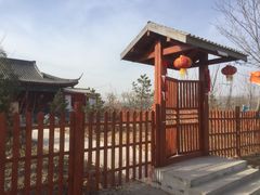 -五龙城郊森林公园