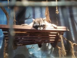 -酷嗒动物文化乐园(cutezoo西溪乐天城店)