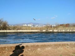 -五甲塘生态湿地公园