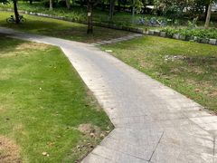 -风云岭森林公园