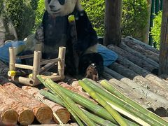 -大连森林动物园