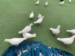 -华谊兄弟（长沙）电影小镇