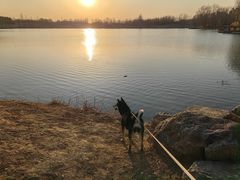 -马家湾湿地公园
