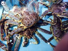 -渔民新村(番禺总店)