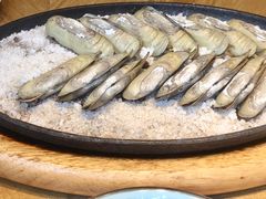 铁板盐焗蛏-莆田餐厅PUTIEN(三里屯店)