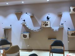 -Pets First伊珊娜洗护·精致美容·家庭式寄养(新会路店)