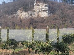 -长圻码头