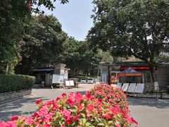 -十九路军淞沪抗日阵亡将士陵园