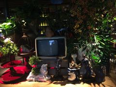 -胡桃里音乐酒馆(曲江店)