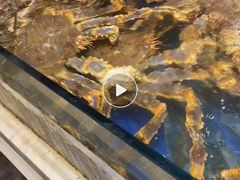 -海景壹号大酒店(滨湖店)