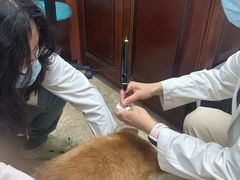 -美联众合动物医院·24h转诊中心