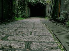 -马峦山郊野公园