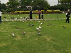 -白鹭洲公园
