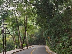 -深圳仙湖植物园