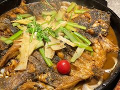 -老板恋上鱼(恒隆广场店)