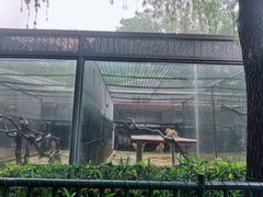 -深圳野生动物园