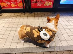 -Seesaw Coffee(上生新所店)