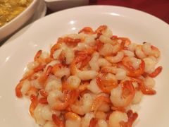 清炒河虾仁-老吉士酒家(天平路店)