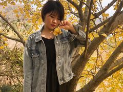 -千年银杏谷文化旅游区