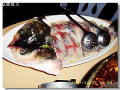 一条三斤多的鱼儿-川味堂·四川豆花(八卦岭店)