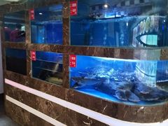 水产区-巴特餐饮6加1音乐餐吧·新疆菜
