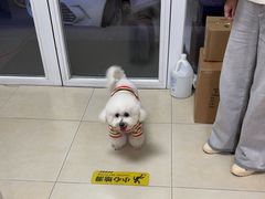 -宠福鑫康馨动物医院·骨科·眼科