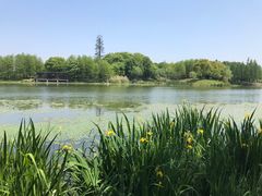 -尚贤河湿地