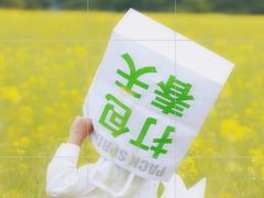 -长洲岛
