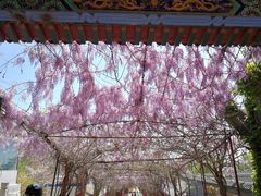 -荣德灶台鱼(圣泉寺店)