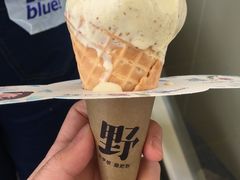 -野人先生现做冰淇淋(西安赛格店)