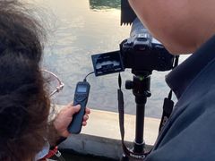 -金陵图书馆